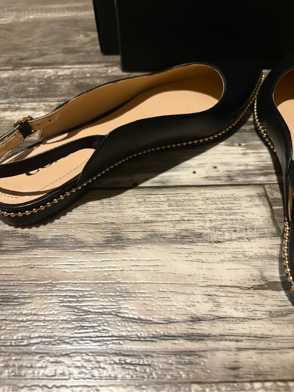 Coach Vae Skimmer Slingback Flat Sandals with Pointed Toe